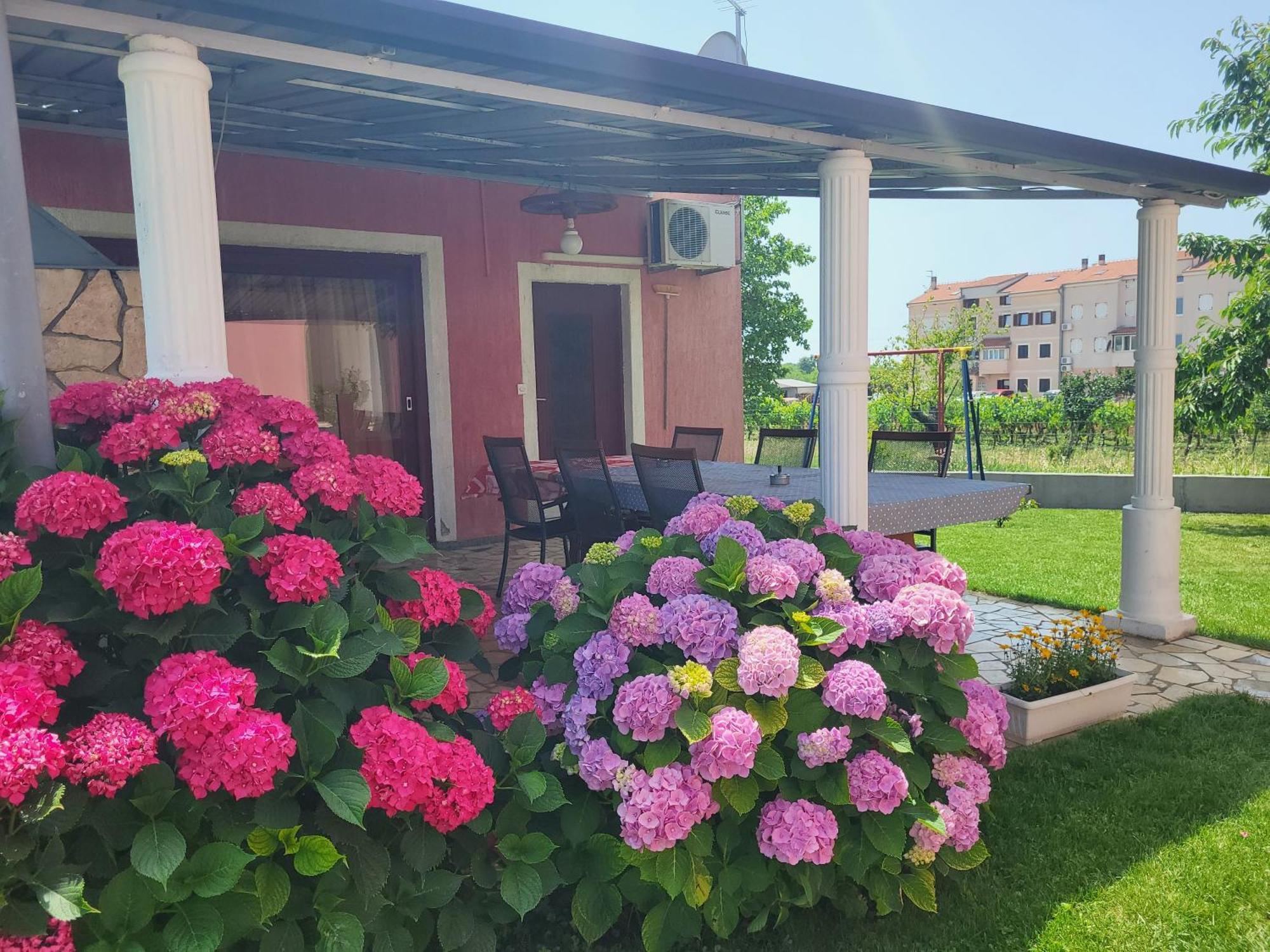 Apartments Dragica Poreč Exteriér fotografie