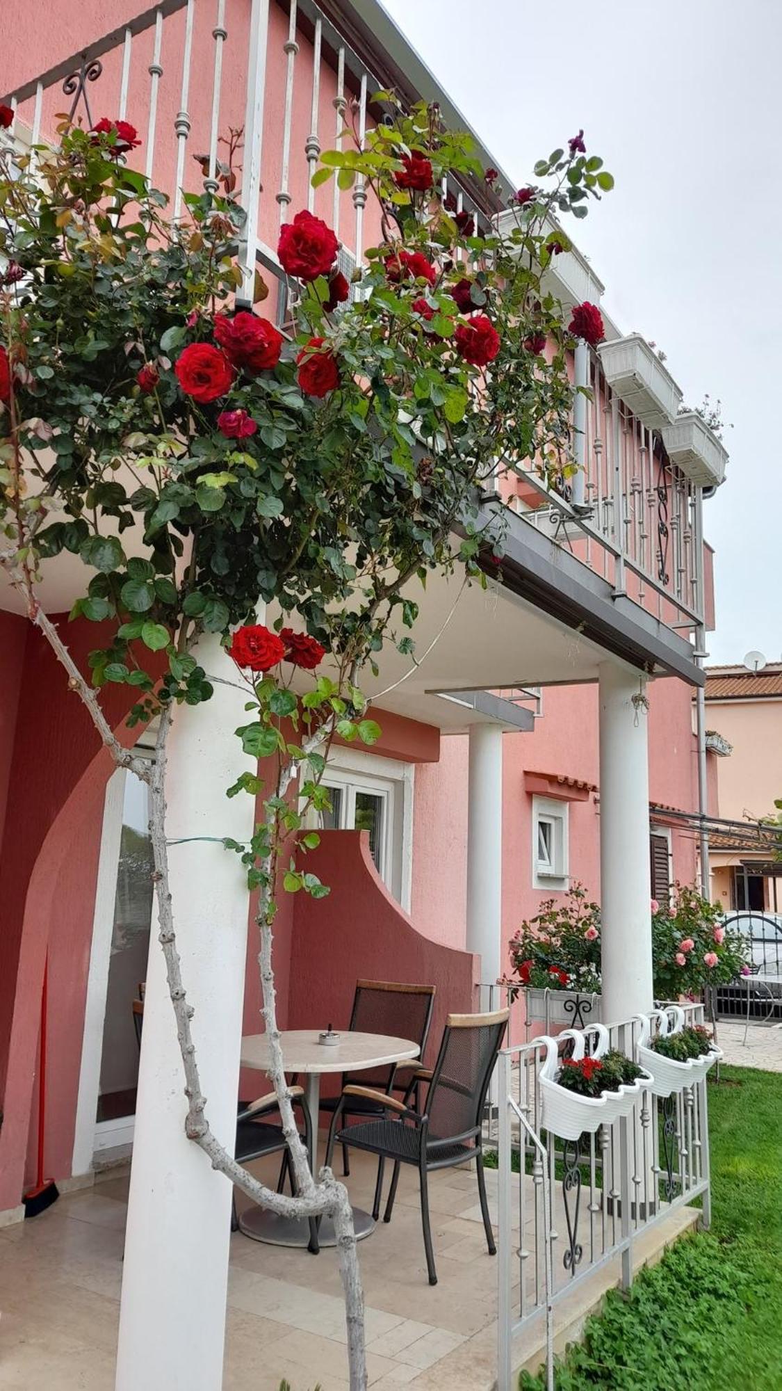 Apartments Dragica Poreč Exteriér fotografie